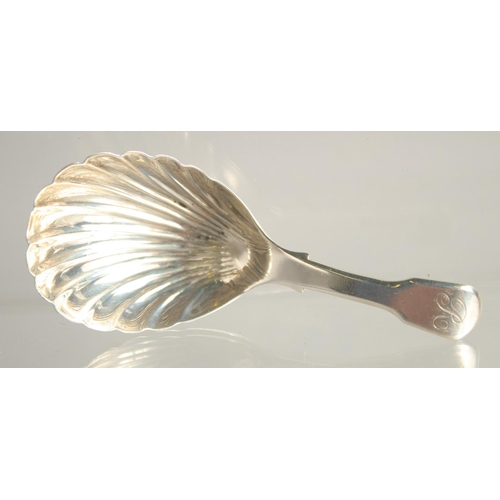 1553 - A GEORGE III SILVER SHELL BOWL CADDY SPOON. London 1785.