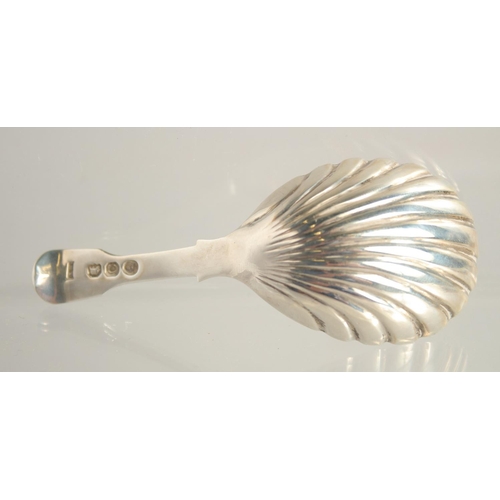 1553 - A GEORGE III SILVER SHELL BOWL CADDY SPOON. London 1785.