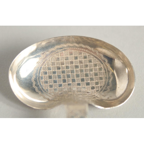 1555 - A GEORGE III SILVER ENGRAVED CADDY SPOON. Birmingham 1809.