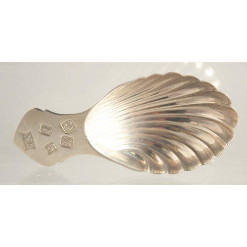 1556 - A MODERN SILVER SHELL BOWL CADDY SPOON.
Dublin 1999. Maker PWK