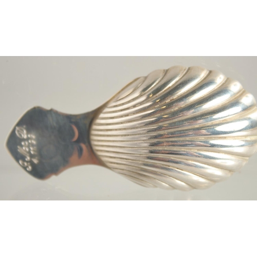 1556 - A MODERN SILVER SHELL BOWL CADDY SPOON.
Dublin 1999. Maker PWK