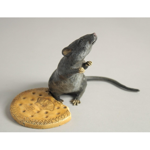 1568 - A COLD CAST MODEL OF A RAT standing beside a biscuit. 4.5ins high.