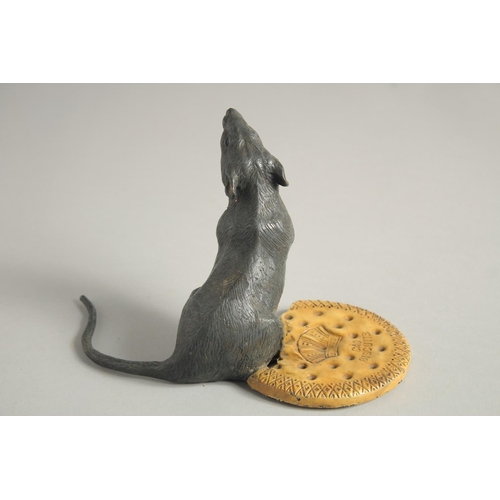 1568 - A COLD CAST MODEL OF A RAT standing beside a biscuit. 4.5ins high.