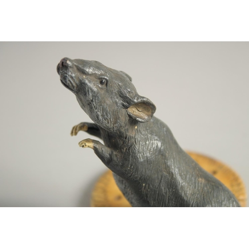 1568 - A COLD CAST MODEL OF A RAT standing beside a biscuit. 4.5ins high.