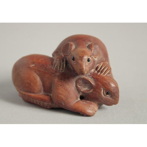 1572 - A WOODEN NETSUKE OF TWO RATS. 2ins long.