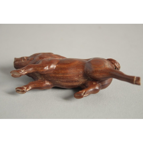 1577 - A BONE NETSUKE OF A BOAR. Signed, 2.5ins.