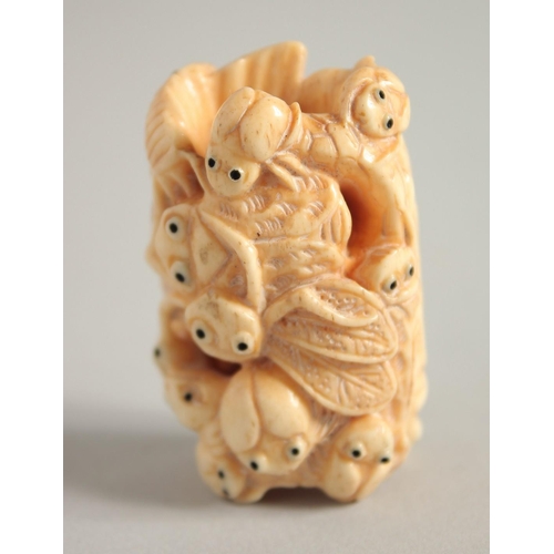 1582 - A CARVED BONE BUG NETSUKE. Signed, 1.75ins.