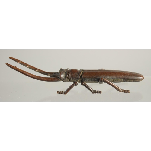 1593 - A JAPANESE BRONZE BEETLE. 5ins long.