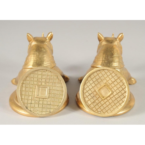 1639 - A PAIR OF GILT BRONZE RHINO DESK WEIGHTS. 5ins long.