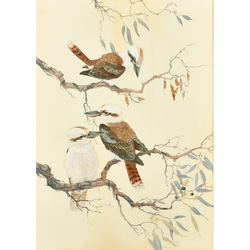 143 - Robin Hill (b. 1932) Australian, 'Kookaburras', a group of three birds, watercolour and gouache, sig... 