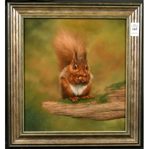 165 - Carl Andrew Whitfield (b. 1953) British, 'Red Squirrel', a red squirrel clasping a nut, oil on board... 