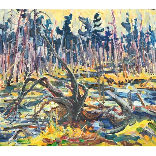 366 - 20th Century Canadian School, a tangled forest by water, oil on panel, inscribed and dated 78 verso,... 