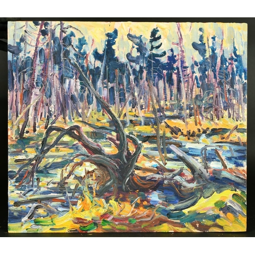 366 - 20th Century Canadian School, a tangled forest by water, oil on panel, inscribed and dated 78 verso,... 