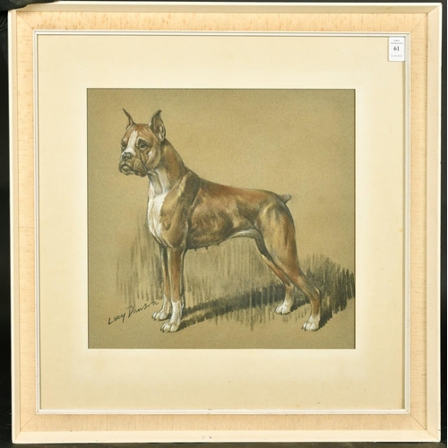 61 - Lucy Dawson (1875-1954) British, a charcoal and chalk study of a standing dog, signed, 13.5