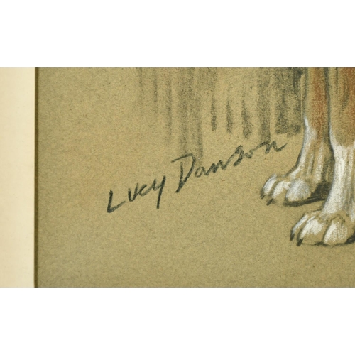 61 - Lucy Dawson (1875-1954) British, a charcoal and chalk study of a standing dog, signed, 13.5