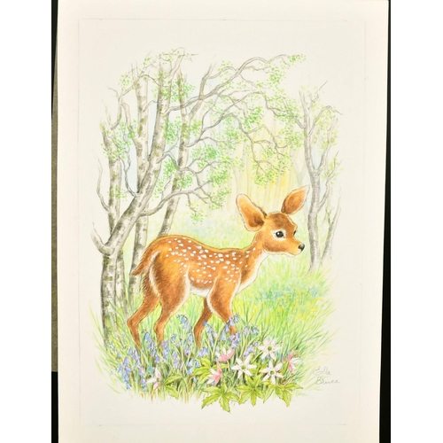 149 - Ella Bruce (20th Century) A Fawn with Spring flowers, watercolour, signed in pencil, 10