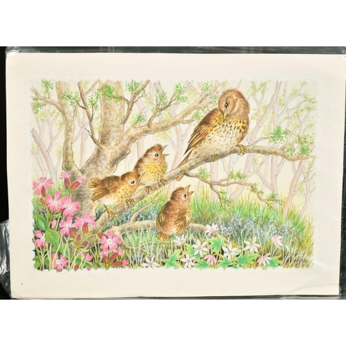 157 - Ella Bruce (20th Century, Fledglings with mother on a branch, watercolour, signed, 7.5