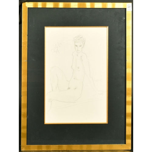 527 - Kanwaldeep Singh Kang, signed Nicks (1964-2007) British, A seated female nude, pencil, signed and da... 