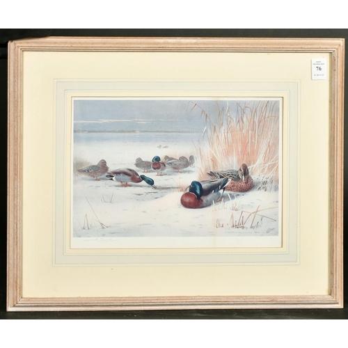 76 - After Archibald Thorburn, 'Mallard', colour photolithograph, signed in pencil, The Tryon Gallery Ltd... 