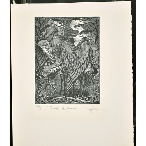 92 - Colin See Paynton (b.1946) British, Four wood engravings, 'Siege of Herons', 'Covert of Coots', 'Cov... 