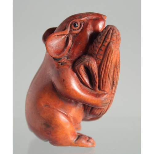 127 - A JAPANESE BOXWOOD NETSUKE OF A RAT.