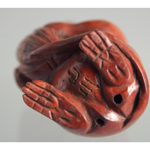 127 - A JAPANESE BOXWOOD NETSUKE OF A RAT.