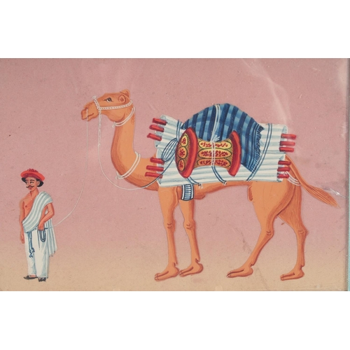 334 - TWO 19TH CENTURY INDIAN COMPANY SCHOOL PAINTINGS ON MICA, each depicting a camel and rider, 14cm x 1... 