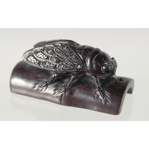 89 - A JAPANESE CARVED HARDWOOD NETSUKE OF AN INSECT crawling on bamboo, signed, 5cm wide.