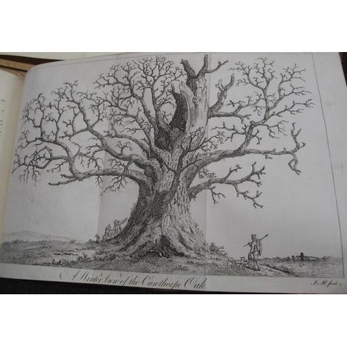 299 - [TREES] EVELYN (J.) Silva: or a Discourse of Forest Trees, 4to, 2 vols. n 1, frontis. & 45 plates (s... 