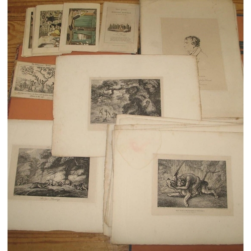 58 - [PRINTS] collection of sporting & natural history engravings & Dr. Syntax, u/f. (Q).