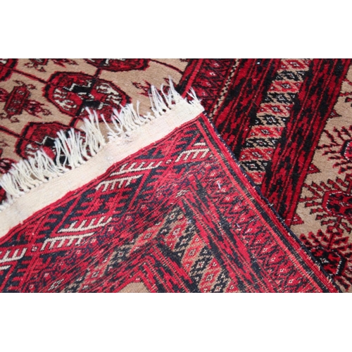 1020 - A LARGE PERSIAN BOKHARA CARPET, beige ground with five rows of twenty two gulls.  9'10