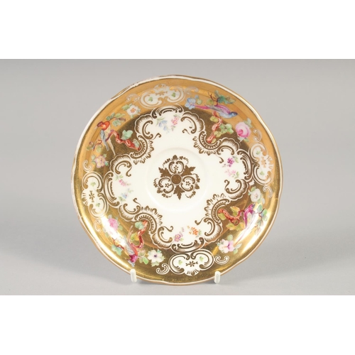 1109 - A 19TH CENTURY COALPORT GOLD GROUND CUP AND SAUCER painted with flowers and birds and a 19th century... 