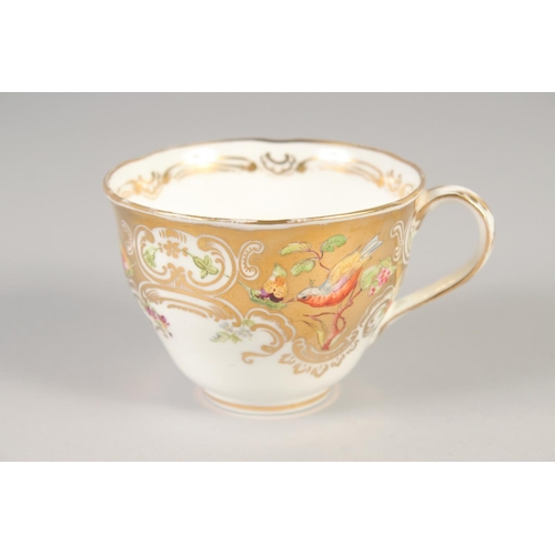 1109 - A 19TH CENTURY COALPORT GOLD GROUND CUP AND SAUCER painted with flowers and birds and a 19th century... 