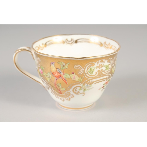 1109 - A 19TH CENTURY COALPORT GOLD GROUND CUP AND SAUCER painted with flowers and birds and a 19th century... 