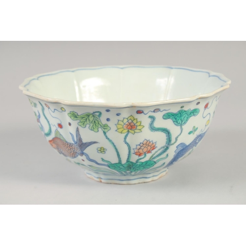 1142 - A CHINESE DOUCAI PORCELAIN PETAL FORM BOWL painted with fish and aquatic flora. 23xm diameter.