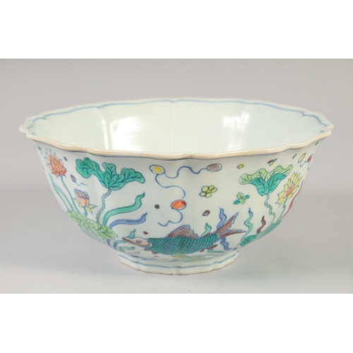 1142 - A CHINESE DOUCAI PORCELAIN PETAL FORM BOWL painted with fish and aquatic flora. 23xm diameter.