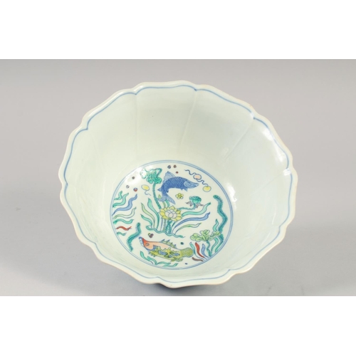 1142 - A CHINESE DOUCAI PORCELAIN PETAL FORM BOWL painted with fish and aquatic flora. 23xm diameter.