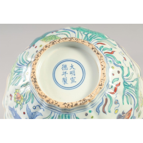 1142 - A CHINESE DOUCAI PORCELAIN PETAL FORM BOWL painted with fish and aquatic flora. 23xm diameter.