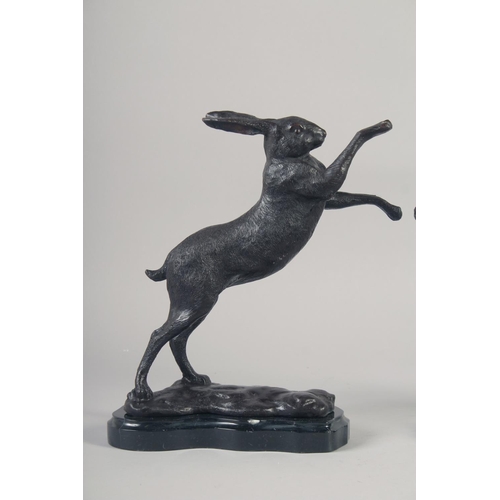 1211 - A GOOD PAIR OF BRONZE BOXING HARES on marble bases. 12ins high.