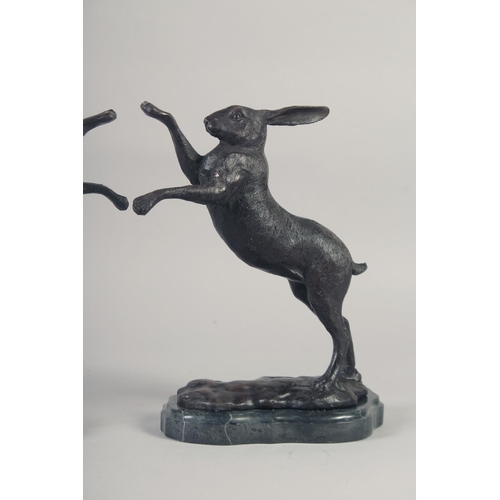 1211 - A GOOD PAIR OF BRONZE BOXING HARES on marble bases. 12ins high.