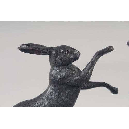 1211 - A GOOD PAIR OF BRONZE BOXING HARES on marble bases. 12ins high.