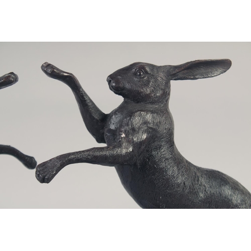 1211 - A GOOD PAIR OF BRONZE BOXING HARES on marble bases. 12ins high.