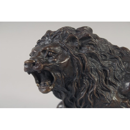 1215 - A BRONZE STANDING LION. 11ins long.