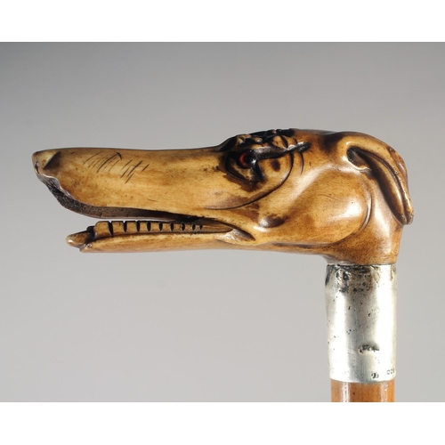 1244 - A 19TH CENTURY MALACCA WALKING STICK with GREYHOUND handle and three others. (4).