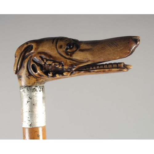 1244 - A 19TH CENTURY MALACCA WALKING STICK with GREYHOUND handle and three others. (4).