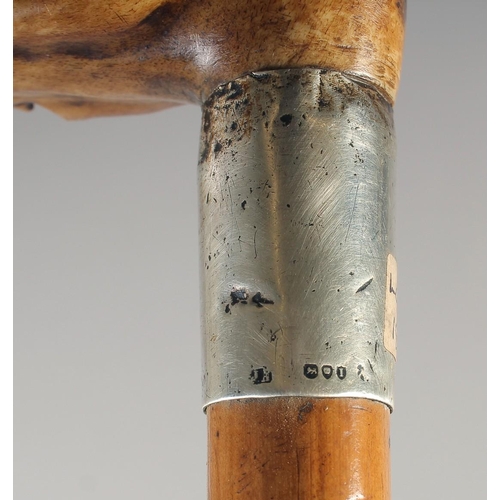 1244 - A 19TH CENTURY MALACCA WALKING STICK with GREYHOUND handle and three others. (4).