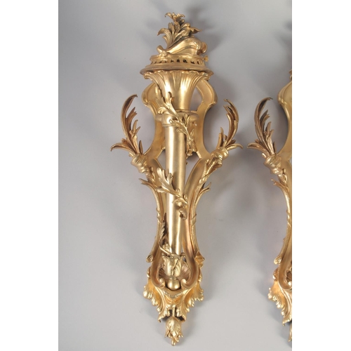 1280 - A VERY GOOD PAIR OF GILT BRONZE WALL CORNETS with acanthus scrolls and torch. 24ins long.