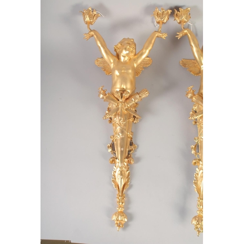 1288 - A GOOD PAIR OF GILT BRONZE CHERUB WALL LIGHTS 26ins long.