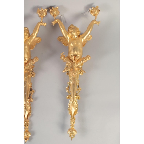 1288 - A GOOD PAIR OF GILT BRONZE CHERUB WALL LIGHTS 26ins long.