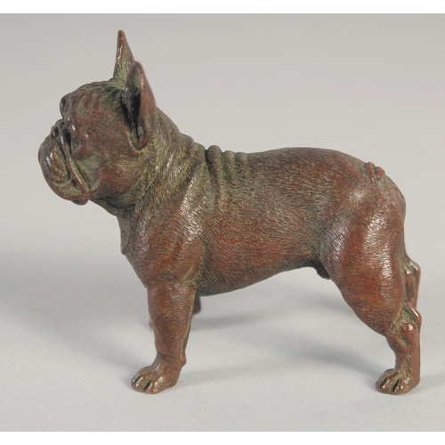 1392 - A SMALL AUSTRIAN BRONZE PUG DOG. 2.5ins long.